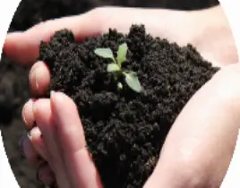 ürün ORGANİK GÜBRE 