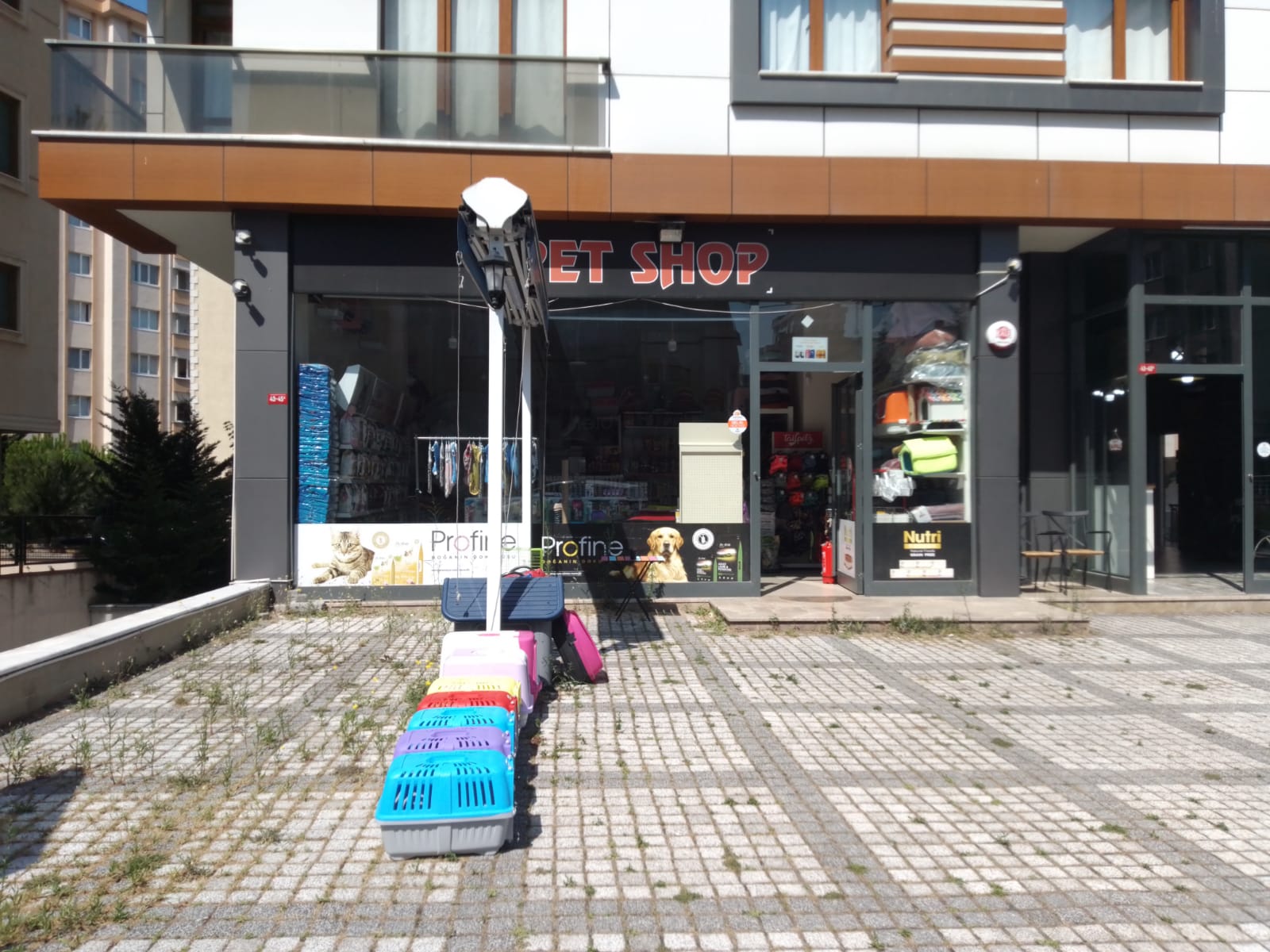 tanitim resim Ataşehir Evcil Hayvan Satışı Ve Pet Shop Mağazası