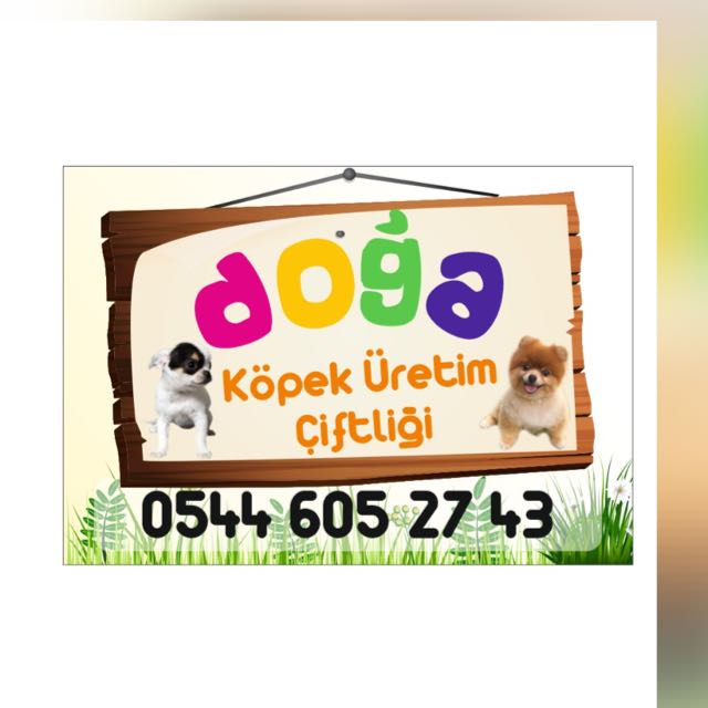 tanitim resim DOĞA ÜRETİM KÖPEK ÇİFTLİĞİ