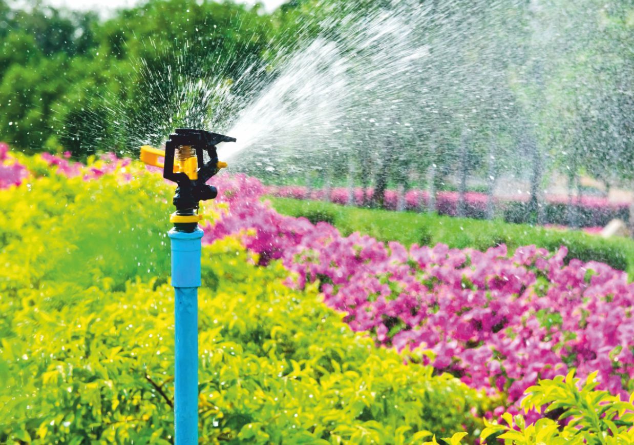 Watering time. Поливная система. Полив зеленых насаждений. Поливные цветы. Дождевание цветов.