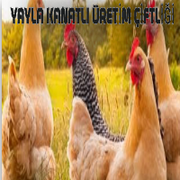 tanitim resim BİRECİK KANATLI ÜRETİM ÇİFTLİĞİ