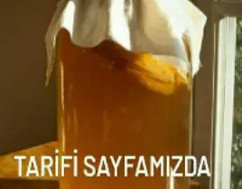 ürün Kambucha Mantarı 