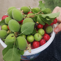 tanitim resim ERKAYALAR TARIM VE HAYVANCILIK