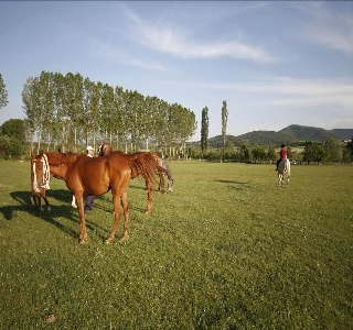 hizmet AT ÇİFTLİĞİ 