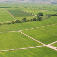 tanitim resim Kocaeli İzmit Arazi Ve Arsa Yatırım Danışmanlık Ofisi / Kandıra Arsa Ofisi